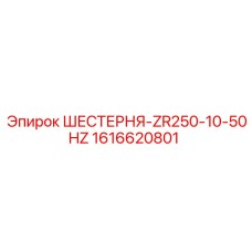 1616620801 ШЕСТЕРНЯ-ZR250-10-50HZ Epiroc