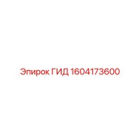 1604173600 ГИД Epiroc