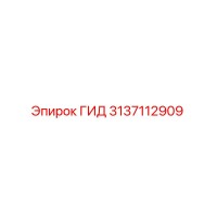 3137112909 ГИД Epiroc