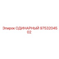 9753204502 ОДИНАРНЫЙ Epiroc