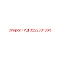3222331363 ГИД Эпирок