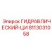 8113031058 ГИДРАВЛИЧЕСКИЙ-ЦИ Epiroc