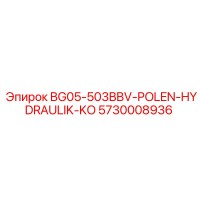 5730008936 BG05-503BBV-POLEN-HYDRAULIK-KO Epiroc