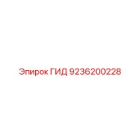 9236200228 ГИД Epiroc