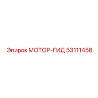 53111456 МОТОР-ГИД Epiroc