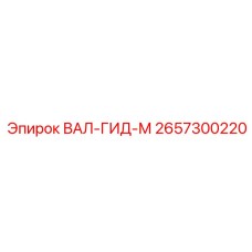 2657300220 ВАЛ-ГИД-М Epiroc
