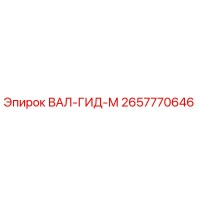 2657770646 ВАЛ-ГИД-М Epiroc