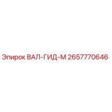 2657770646 ВАЛ-ГИД-М Epiroc