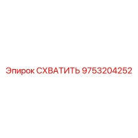 9753204252 СХВАТИТЬ Epiroc