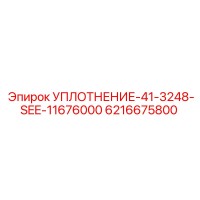 6216675800 УПЛОТНЕНИЕ-41-3248-SEE-11676000 Эпирок