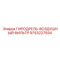9753227934 ГИРОДРЕЛЬ-ВОЗДУШНЫЙ ФИЛЬТР Epiroc