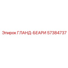 57384737 ГЛАНД-БЕАРИ Epiroc