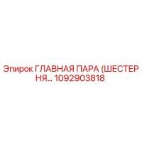 1092903818 ГЛАВНАЯ ПАРА (ШЕСТЕРНЯ...) Epiroc