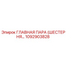 1092903828 ГЛАВНАЯ ПАРА (ШЕСТЕРНЯ) Epiroc
