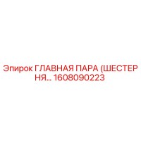 1608090223 ГЛАВНАЯ ПАРА (ШЕСТЕРНЯ…) Epiroc