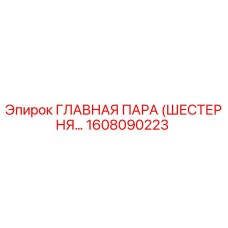 1608090223 ГЛАВНАЯ ПАРА (ШЕСТЕРНЯ…) Epiroc