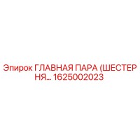 1625002023 ГЛАВНАЯ ПАРА (ШЕСТЕРНЯ...) Epiroc