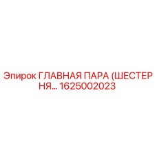 1625002023 ГЛАВНАЯ ПАРА (ШЕСТЕРНЯ...) Epiroc