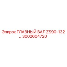 3002604720 ГЛАВНЫЙ ВАЛ ZS90-132 Epiroc