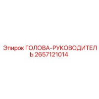 2657121014 ГОЛОВА-РУКОВОДИТЕЛЬ Epiroc