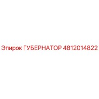 4812014822 ГУБЕРНАТОР Epiroc