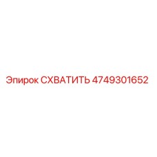 4749301652 СХВАТИТЬ Epiroc