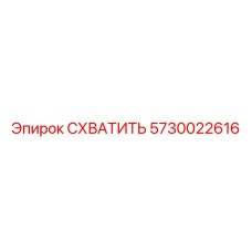 5730022616 СХВАТИТЬ Epiroc