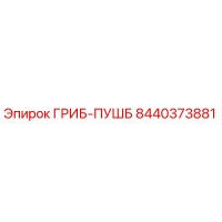 8440373881 ГРИБ-ПУШБ Epiroc