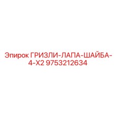 9753212634 ГРИЗЛИ-ЛАПА-ШАЙБА-4-X2 Epiroc