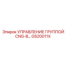 GS20011X УПРАВЛЕНИЕ ГРУППОЙ CNG-B Epiroc