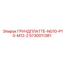 5730011381 ГРУНДПЛАТТЕ-NG10-P10-M12-2 Epiroc