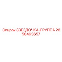 2658463657 ЗВЕЗДОЧКА-ГРУППА Epiroc