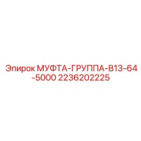 2236202225 МУФТА-ГРУППА-B13-64-5000 Epiroc