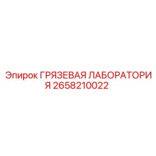 2658210022 ГРЯЗЕВАЯ ЛАБОРАТОРИЯ (Epiroc)