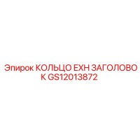 GS12013872 КОЛЬЦО EXH ЗАГОЛОВОК Epiroc