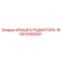 GS12065931 КРЫШКА РАДИАТОРА 16 Epiroc