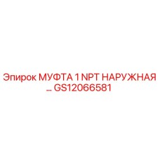 GS12066581 МУФТА 1 NPT НАРУЖНАЯ Epiroc