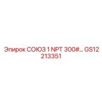 GS12213351 СОЮЗ 1 NPT 300#… Epiroc