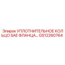 GS12260764 УПЛОТНИТЕЛЬНОЕ КОЛЬЦО SAE ФЛАНЦА Epiroc