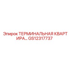 GS12317737 ТЕРМИНАЛЬНАЯ КВАРТИРА Epiroc