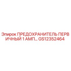 GS12352464 ПРЕДОХРАНИТЕЛЬ ПЕРВИЧНЫЙ 1 АМП Epiroc