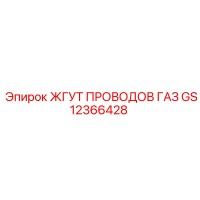 GS12366428 ЖГУТ ПРОВОДОВ ГАЗ Epiroc