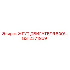 GS12371959 ЖГУТ ДВИГАТЕЛЯ 800 Epiroc
