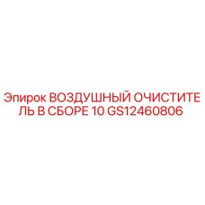 GS12460806 ВОЗДУШНЫЙ ОЧИСТИТЕЛЬ В СБОРЕ 10 Epiroc