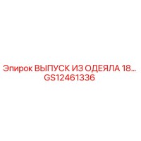 GS12461336 ВЫПУСК ИЗ ОДЕЯЛА 18… Epiroc