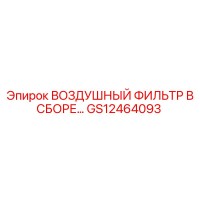 GS12464093 ВОЗДУШНЫЙ ФИЛЬТР В СБОРЕ Epiroc