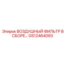 GS12464093 ВОЗДУШНЫЙ ФИЛЬТР В СБОРЕ Epiroc