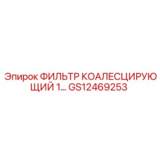 GS12469253 ФИЛЬТР КОАЛЕСЦИРУЮЩИЙ 1 (Epiroc)