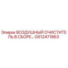 GS12471863 ВОЗДУШНЫЙ ОЧИСТИТЕЛЬ В СБОРЕ Epiroc