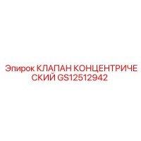 GS12512942 КЛАПАН КОНЦЕНТРИЧЕСКИЙ Epiroc